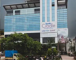 Appollo Cradle Marathahalli